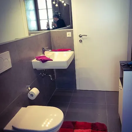 Appartement Bergblick *